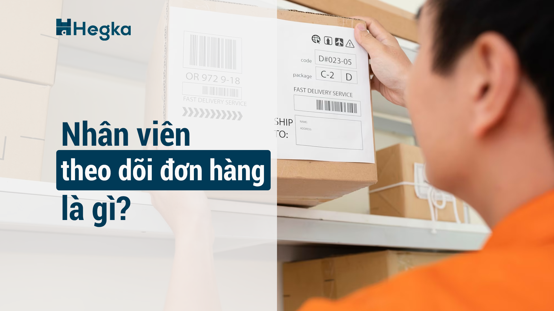 Nhân viên theo dõi đơn hàng là gì? Mức lương và câu hỏi phỏng vấn?