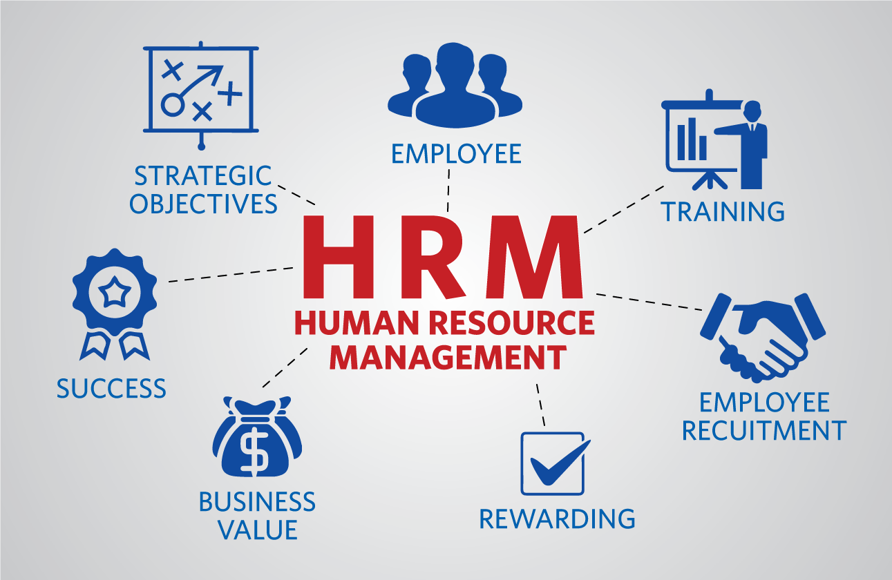 Các bước trong quy trình HRM là gì?